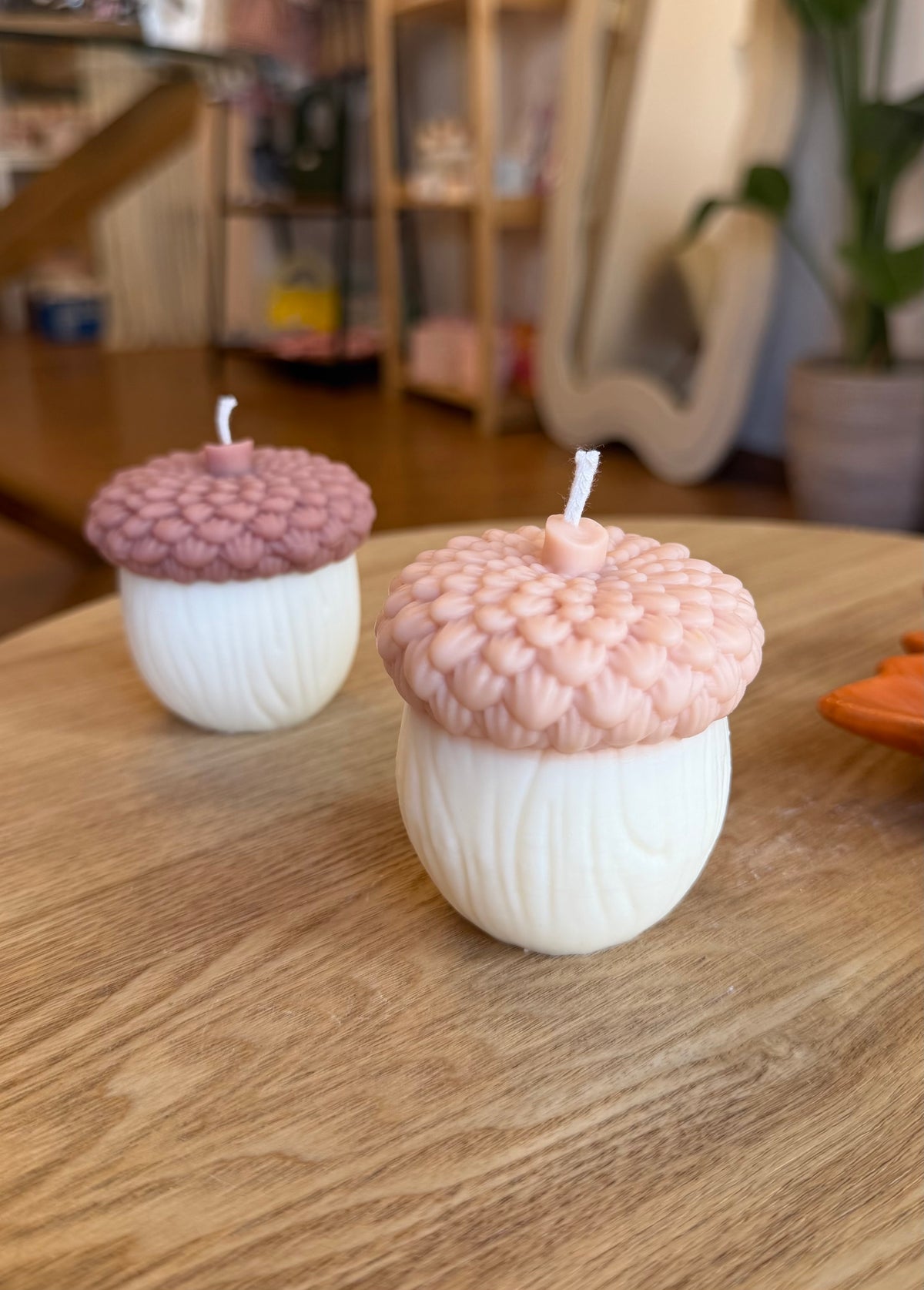 Acorn