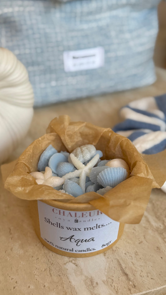 Shells wax melts