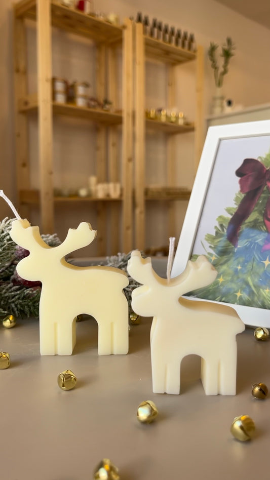 Reindeer