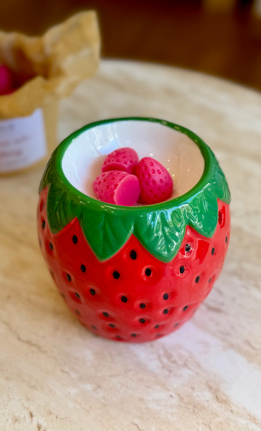 Summer wax melters